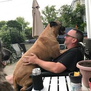 Meet your Posher, Peter